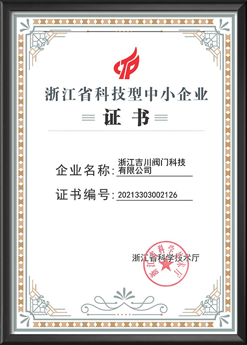 浙江省科技型中小企业证书